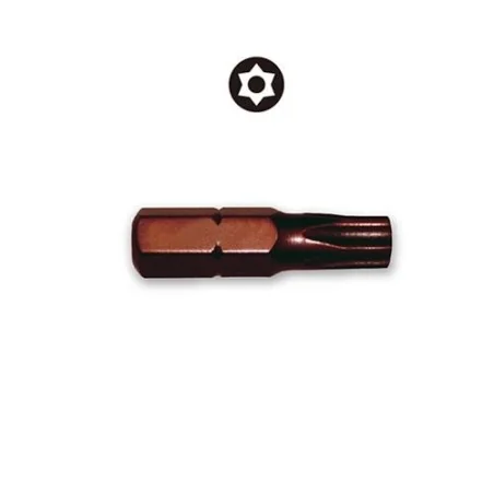 PUNTA TORX C/GUIA T-30 1/4 X 25MM 444331 GESTAR
