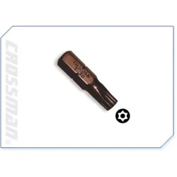 PUNTA TORX C/GUIA T-30 1/4...