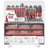 ATORNILLA JGO 100PC REF (+,-,TX, JOY, PTA) 702488